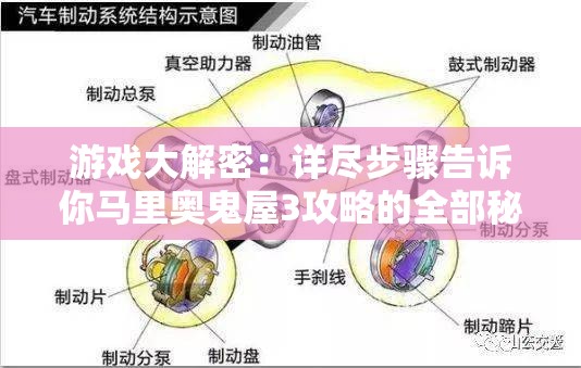 (远征起源)远征启示录部队，揭秘特种作战精英的传奇历程与挑战