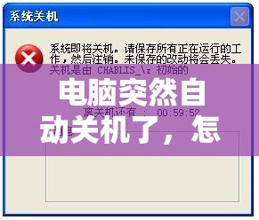 管家婆澳门一肖一码100精准2023198期,数据资料解释落实_macOS.6.51