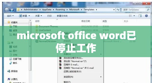 microsoft office word已停止工作