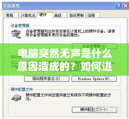 电脑突然无声是什么原因造成的？如何进行有效的问题排查与解决