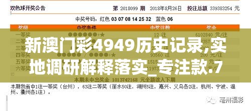 新澳门彩4949历史记录,实地调研解释落实_专注款.7.28