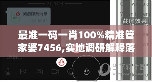 最准一码一肖100%精准管家婆7456,实地调研解释落实_可调型.1.856