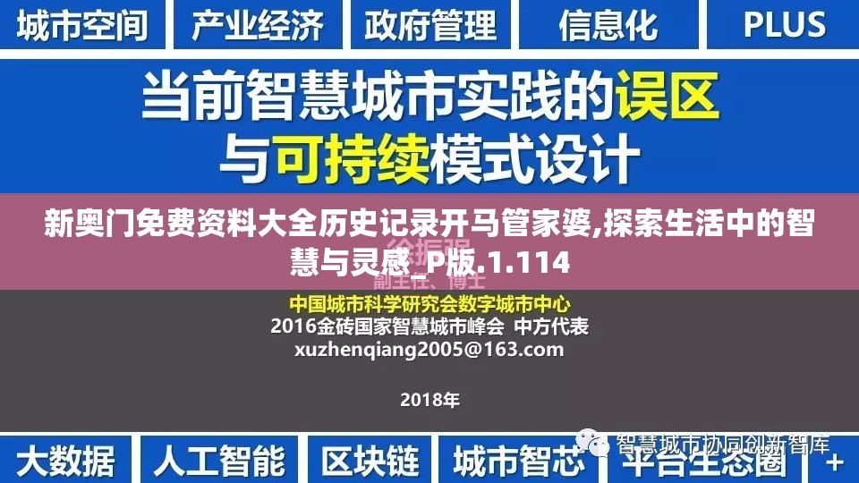 新奥门免费资料大全历史记录开马管家婆,探索生活中的智慧与灵感_P版.1.114