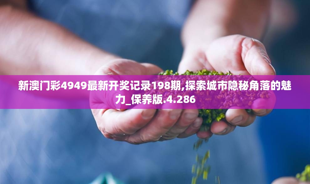 濠江论坛最精准的资料|深度研究解释落实_精简版IOS.6.502