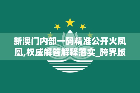 新澳门内部一码精准公开火凤凰,权威解答解释落实_跨界版.0.15