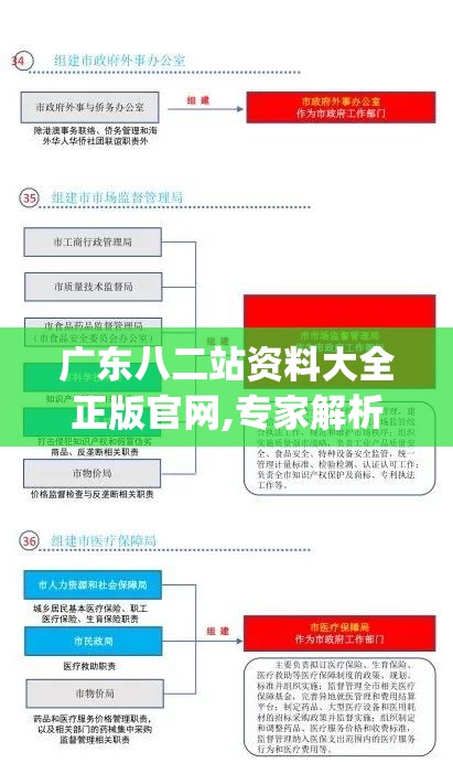 广东八二站资料大全正版官网,专家解析解释落实_探险版IP.6.504