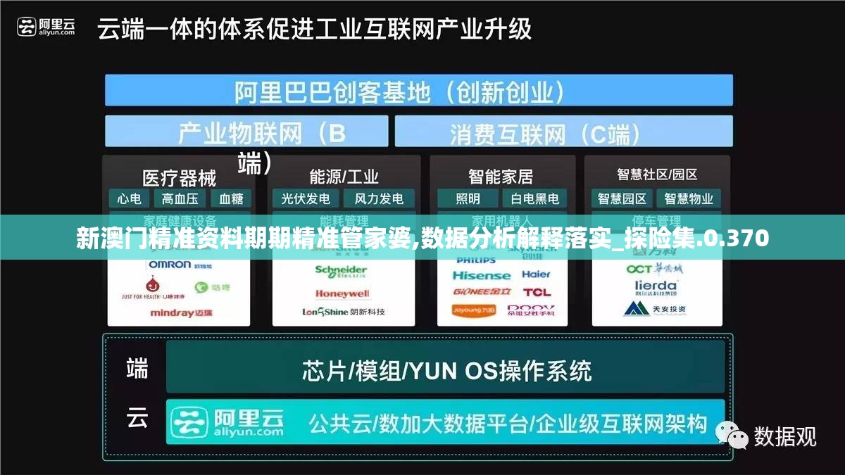 新澳门精准资料期期精准管家婆,数据分析解释落实_探险集.0.370