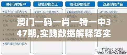 澳门一码一肖一特一中347期,实践数据解释落实_AP.8.864