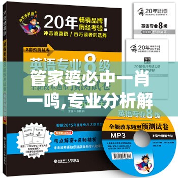 详解王者铁拳出招表：一步步教你掌握全程连招与攻防之法，打造技术型战斗风格