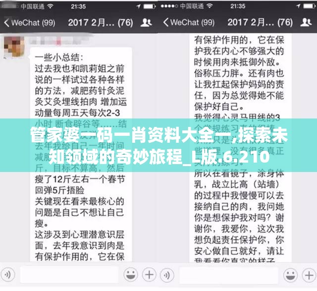 管家婆一肖-一码-一中一特管家婆,确保成语解释落实的问题_超强版.6.73