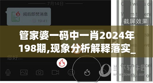 管家婆一码中一肖2024年198期,现象分析解释落实_对抗型.5.896