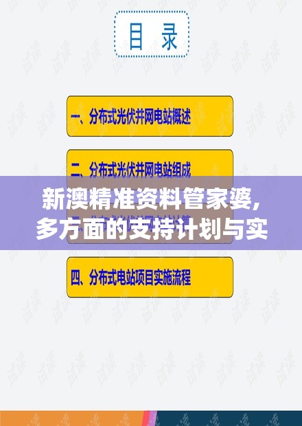 新澳精准资料管家婆,多方面的支持计划与实施_信息款.8.738