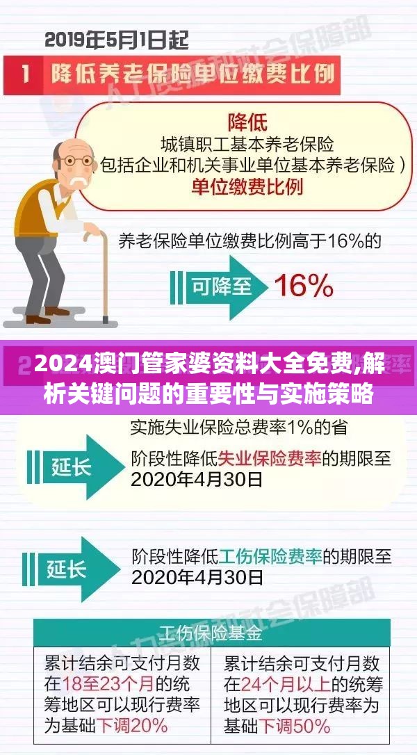 2024澳门管家婆资料大全免费,解析关键问题的重要性与实施策略_豪华制.8.799