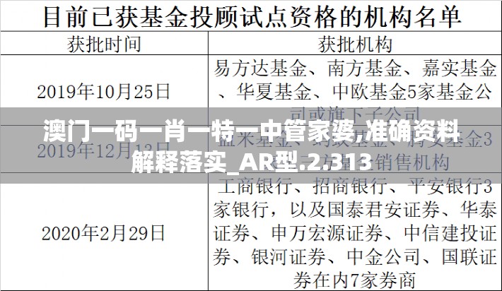 澳门一码一肖一特一中管家婆,准确资料解释落实_AR型.2.313