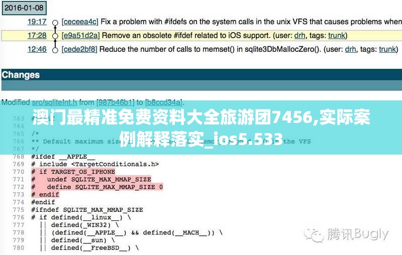 澳门最精准免费资料大全旅游团7456,实际案例解释落实_ios5.533