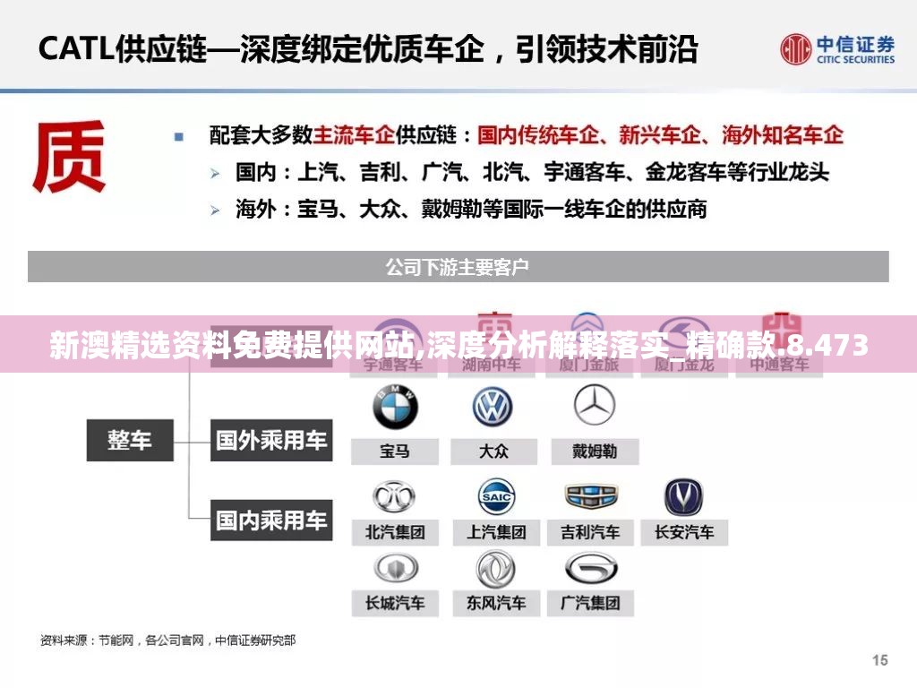 新澳精选资料免费提供网站,深度分析解释落实_精确款.8.473