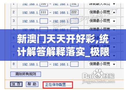 新澳门天天开好彩,统计解答解释落实_极限版IP.0.666