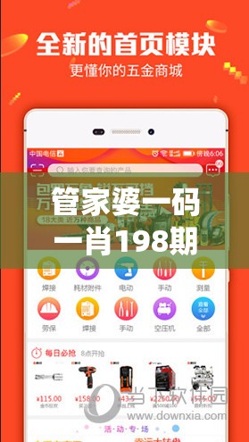 管家婆一码一肖198期,解析当前问题的最新解答_Essential.4.406