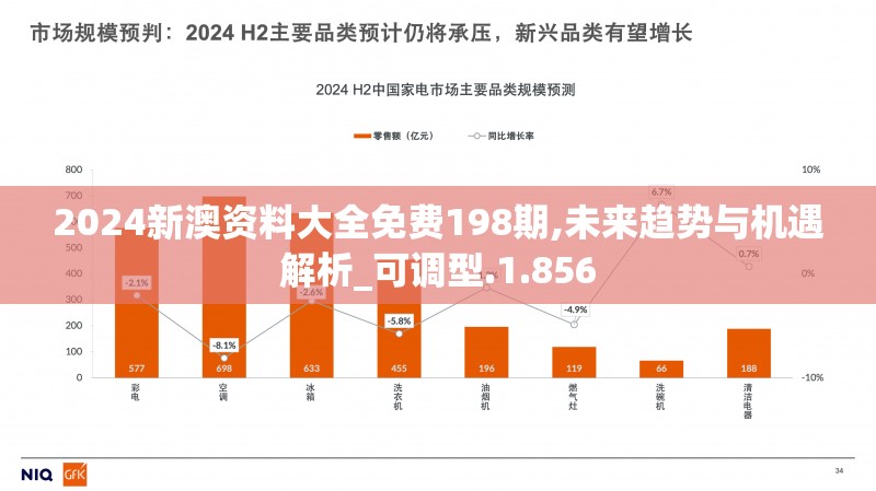 2024新澳资料大全免费198期,未来趋势与机遇解析_可调型.1.856