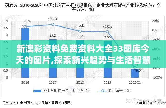 新澳彩资料免费资料大全33图库今天的图片,探索新兴趋势与生活智慧_Console.1.806