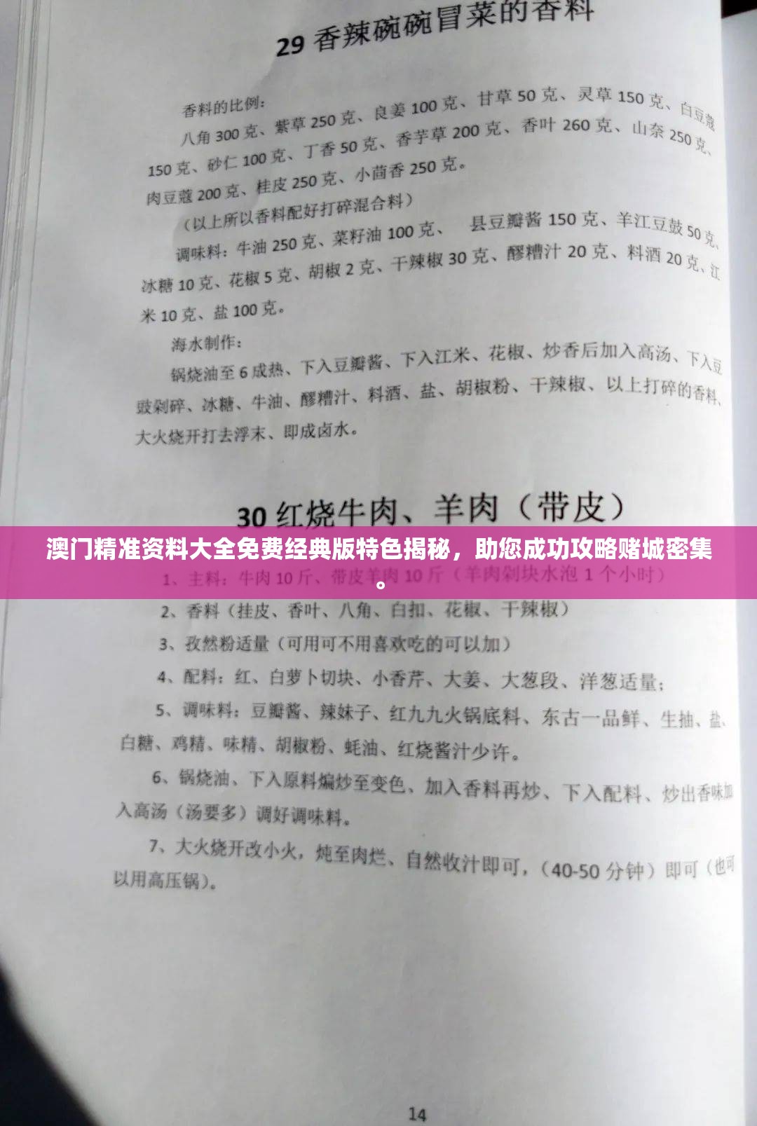 澳门精准资料大全免费经典版特色揭秘，助您成功攻略赌城密集。