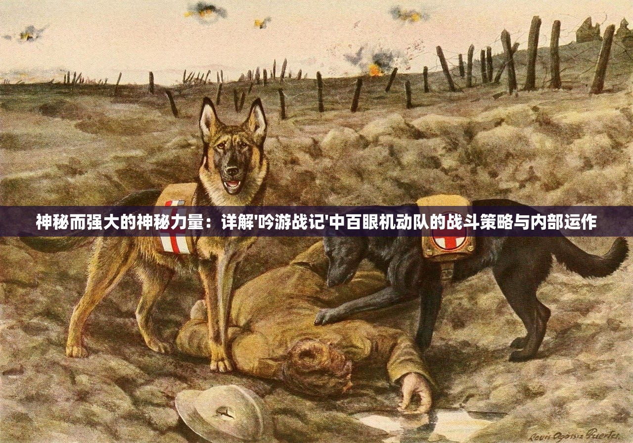 (极品飞车热度集装箱5个)极速集结，全新战力！极品飞车集结即将上线新车盘点及深度解析