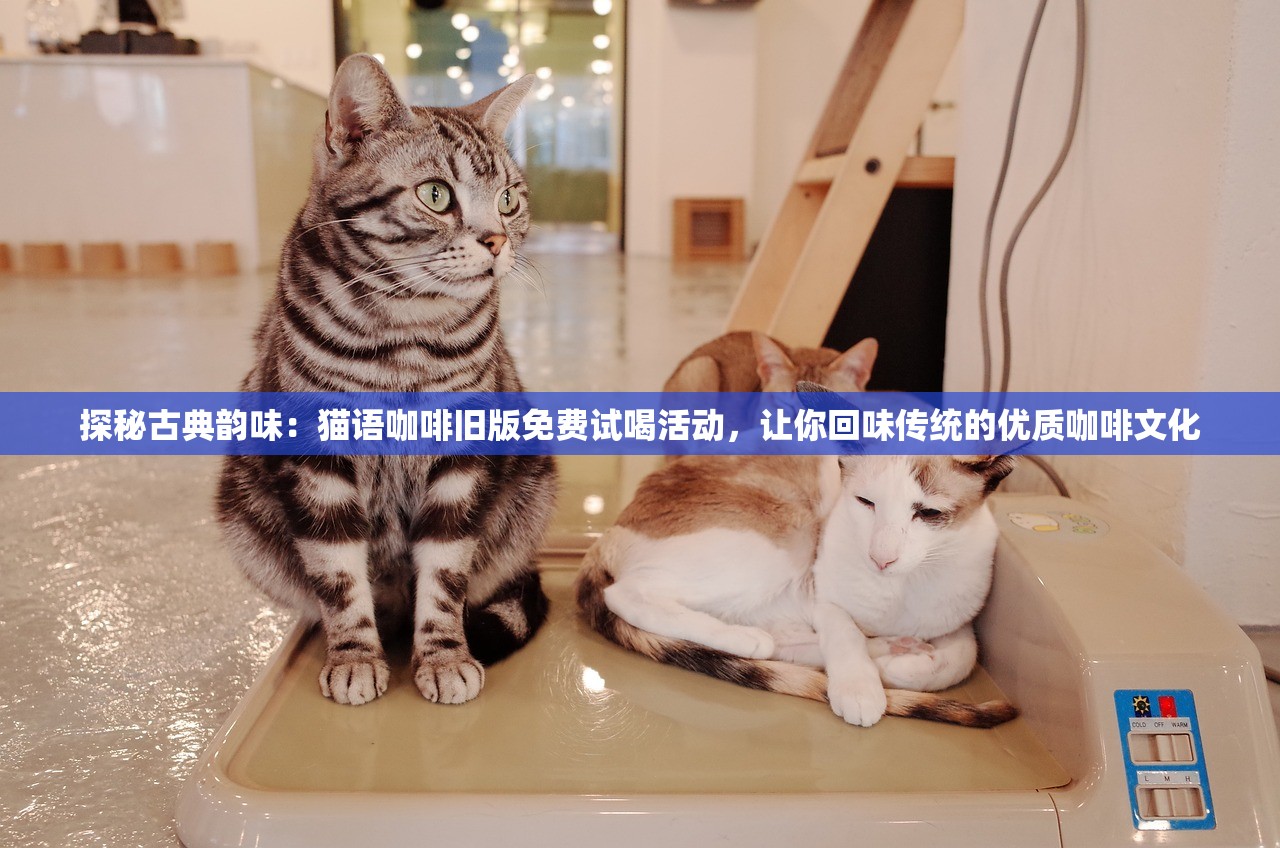 探秘古典韵味：猫语咖啡旧版免费试喝活动，让你回味传统的优质咖啡文化