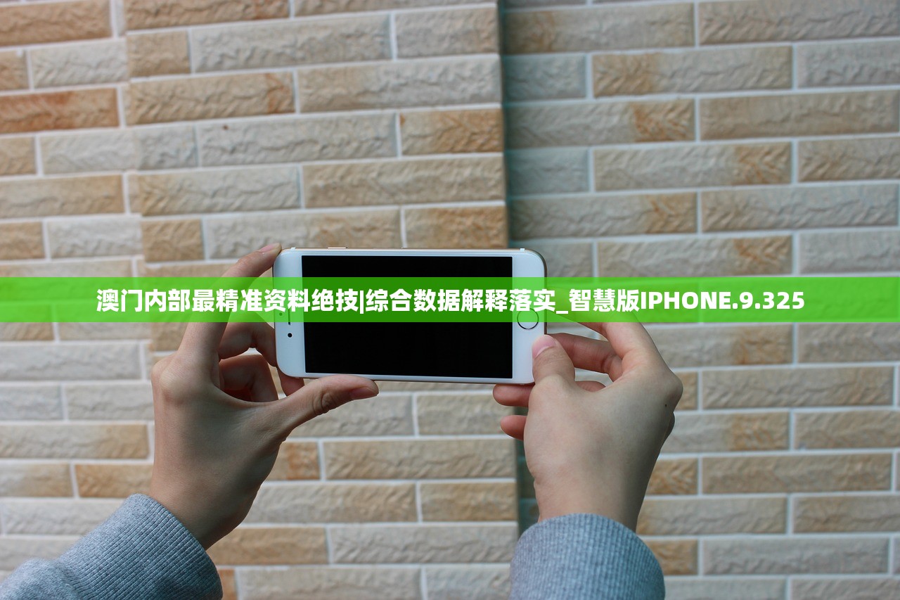 澳门内部最精准资料绝技|综合数据解释落实_智慧版IPHONE.9.325