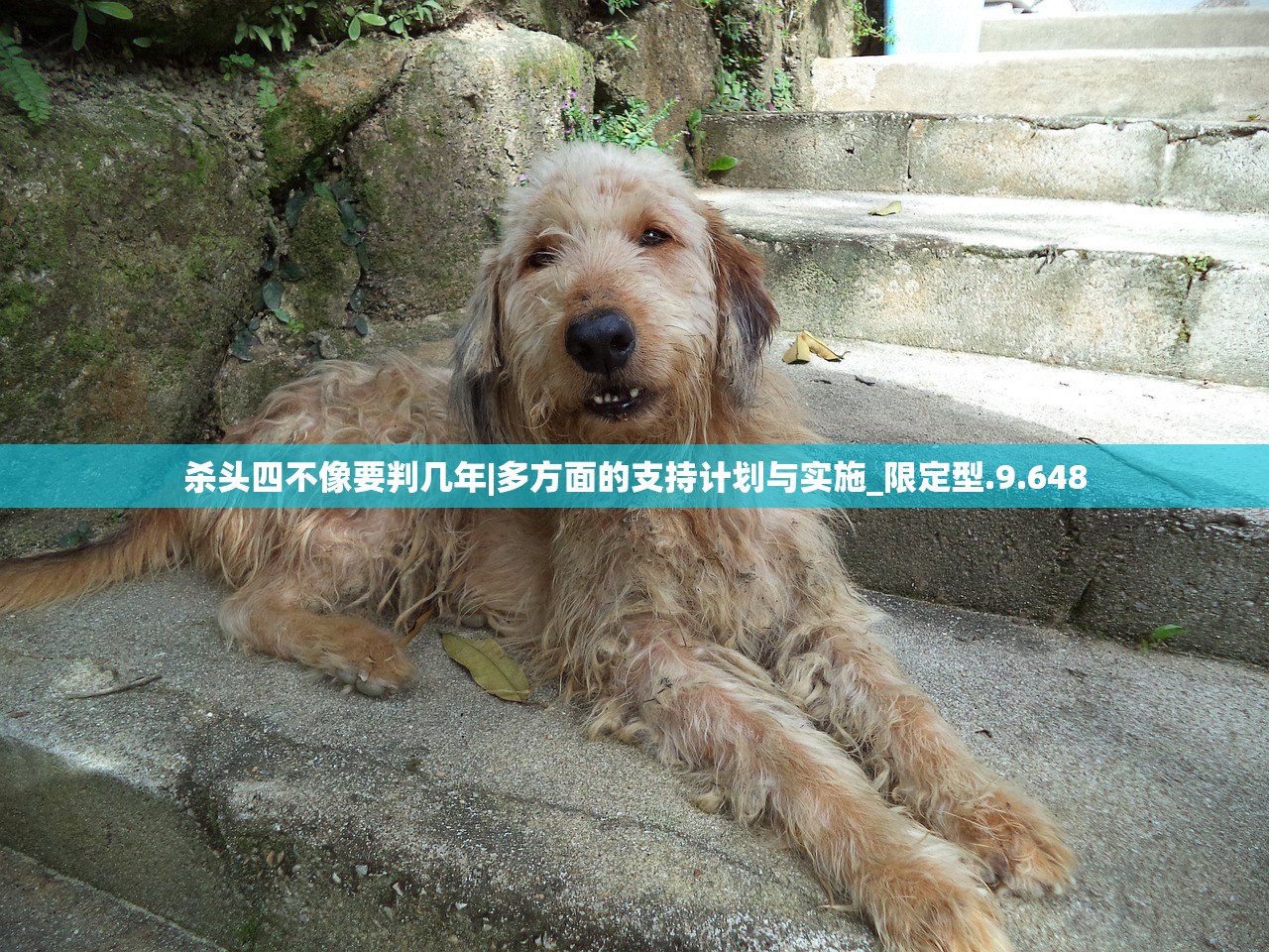 (锵锵大作战的激活码)锵锵大作战邀请码攻略，解锁游戏新世界，探索无限可能！