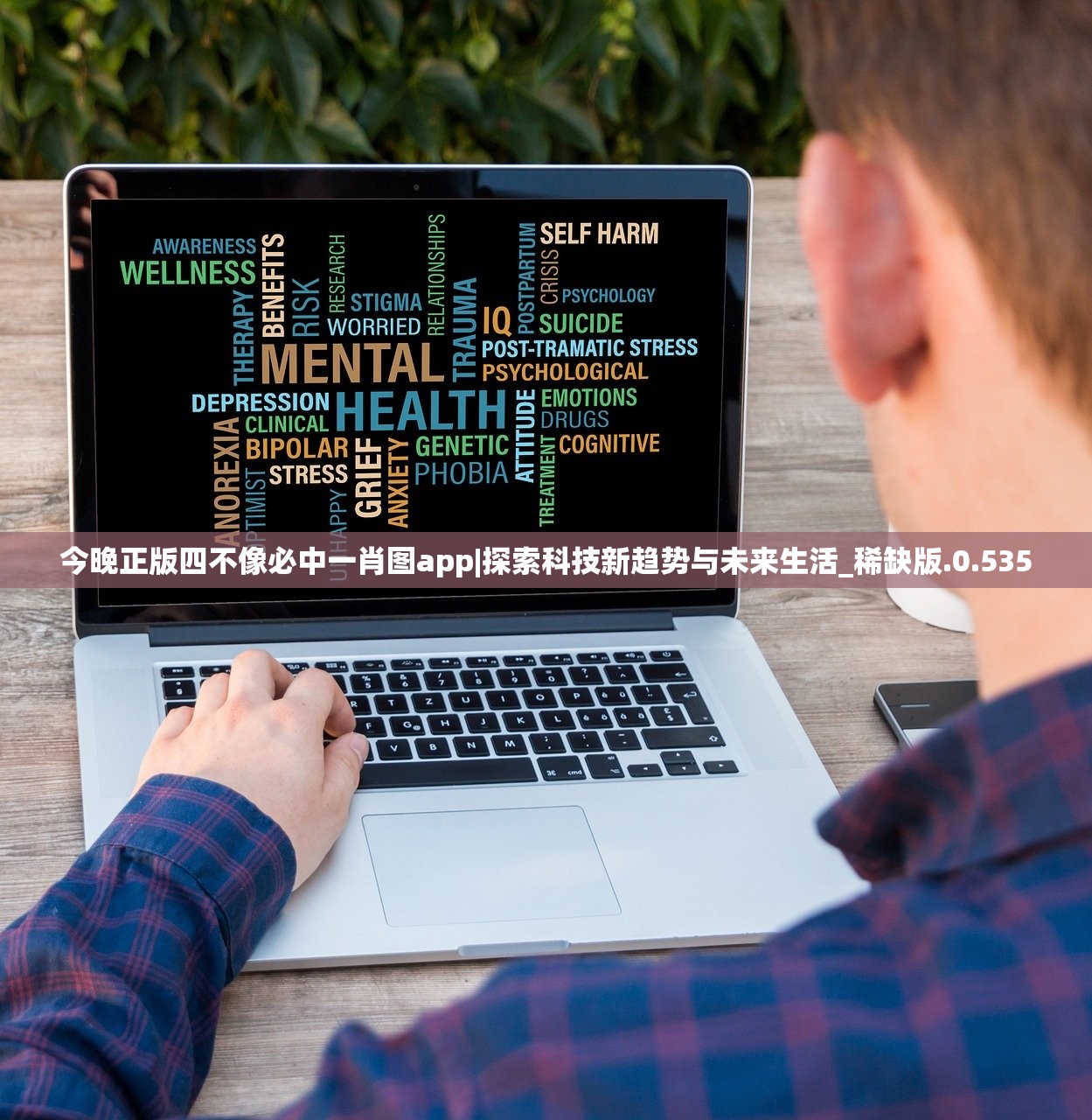 (围攻大菠萝单机)围攻大菠萝，探寻这款热门游戏的多样别称及其背后文化内涵