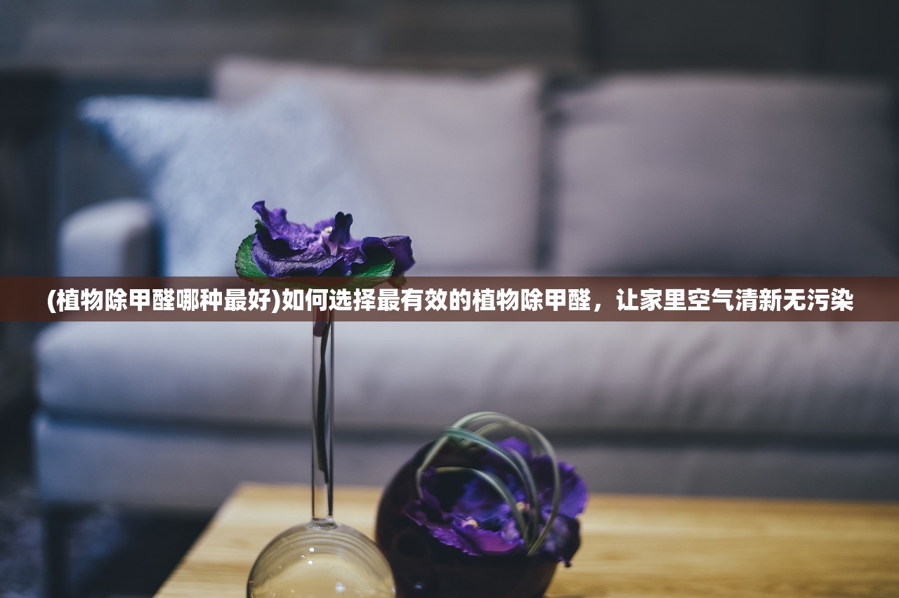 (代号BB)代号Bb，揭秘神秘项目背后的科技力量与伦理困境