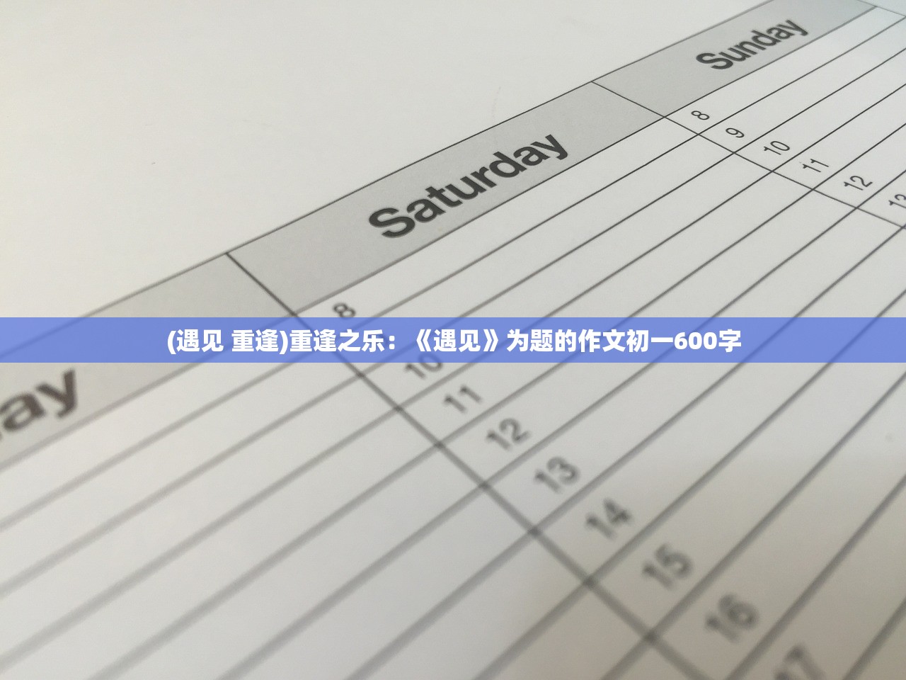 (金碟服务器怎么连接)金碟财务软件连接服务器指南，高效协同的财务信息化之路