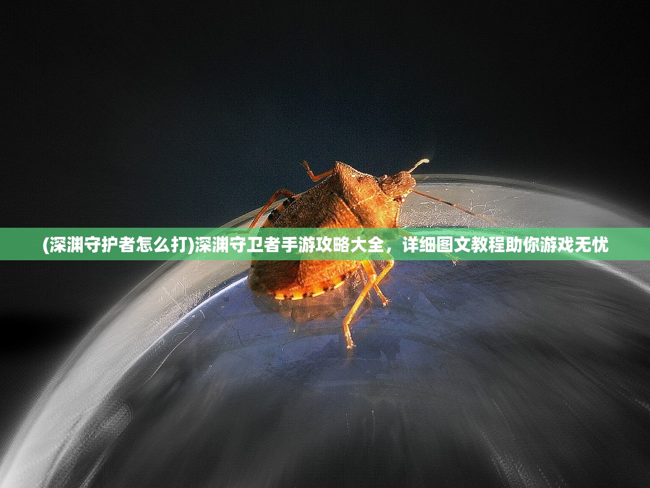 (创世纪1地产风云电视剧免费观看完整版)创世纪1地产风云，深度解析中国房地产市场的电视剧启示录