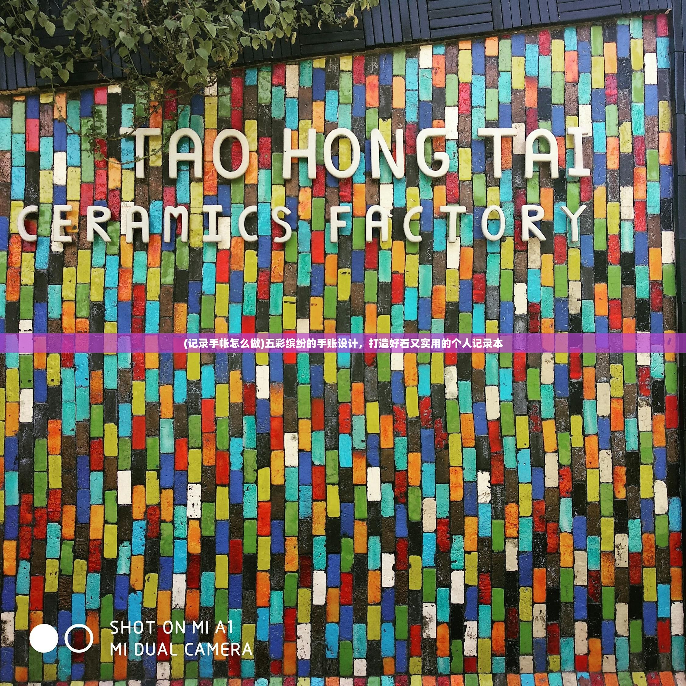 (明日边境阵容搭配攻略大全)明日边境，深度解析阵容搭配攻略，助你战无不胜！