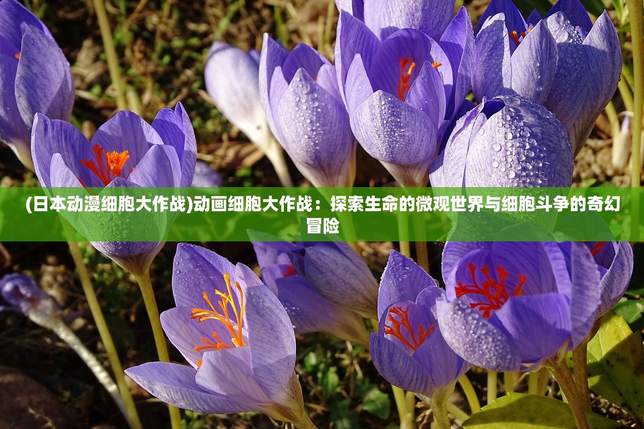 (魂之刃巨龙城堡第二章攻略)魂之刃巨龙城堡二周目攻略，深度解析与技巧分享，助你轻松通关！