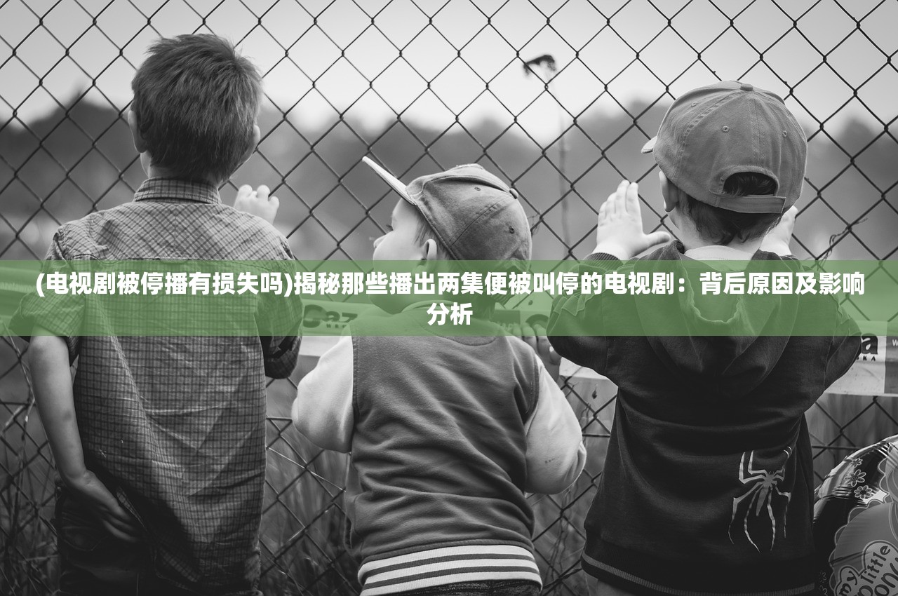 (元气偶像季网络报错)元气偶像季2，揭秘无法登录的五大原因及解决方案