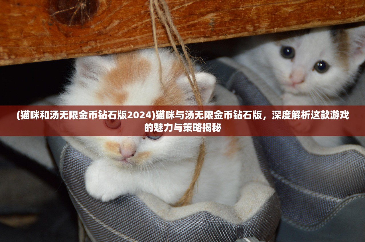 (猫咪和汤无限金币钻石版2024)猫咪与汤无限金币钻石版，深度解析这款游戏的魅力与策略揭秘