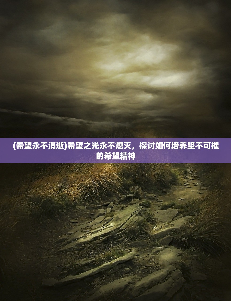 (野牛复仇记破解版下载安装)野牛复仇记2破解版深度解析，游戏玩法、破解技巧与幕后故事揭秘