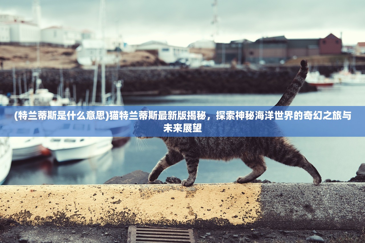 (特兰蒂斯是什么意思)猫特兰蒂斯最新版揭秘，探索神秘海洋世界的奇幻之旅与未来展望