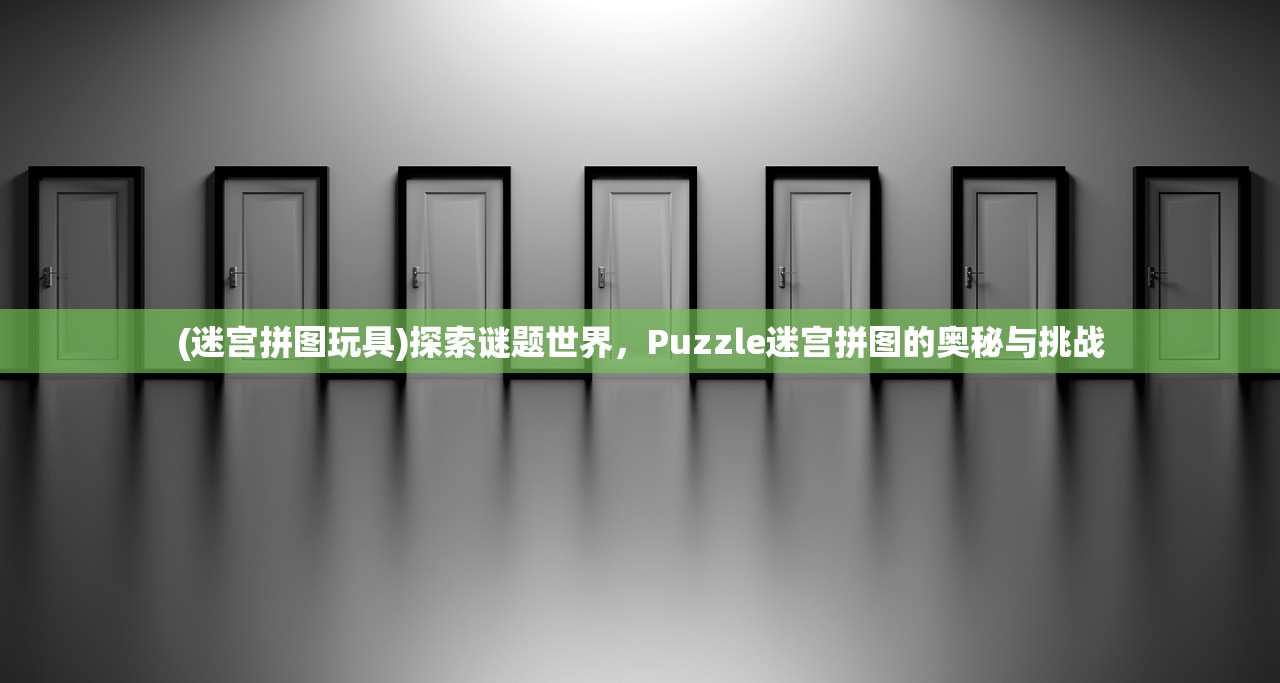 (迷宫拼图玩具)探索谜题世界，Puzzle迷宫拼图的奥秘与挑战