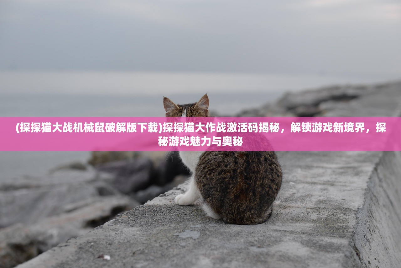 (探探猫大战机械鼠破解版下载)探探猫大作战激活码揭秘，解锁游戏新境界，探秘游戏魅力与奥秘