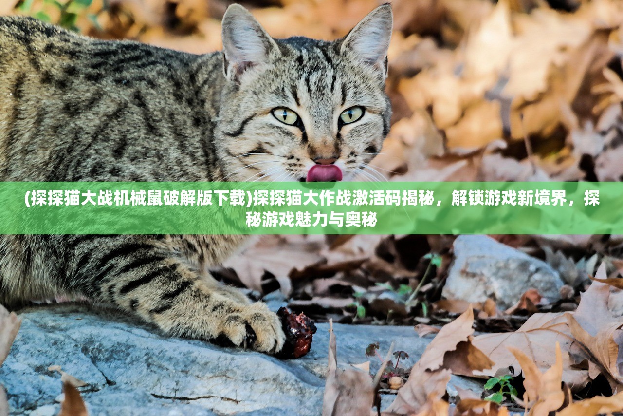 (探探猫大战机械鼠破解版下载)探探猫大作战激活码揭秘，解锁游戏新境界，探秘游戏魅力与奥秘