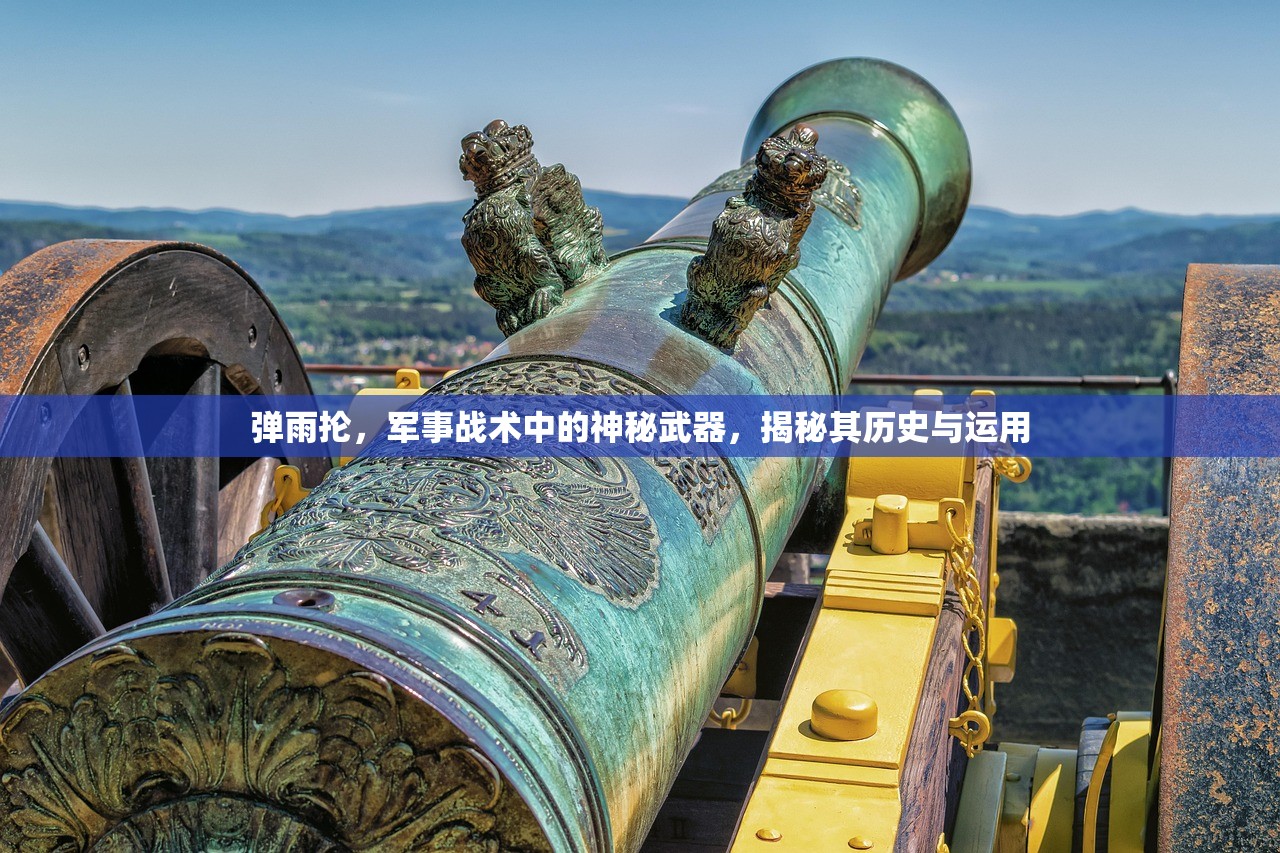 弹雨抡，军事战术中的神秘武器，揭秘其历史与运用