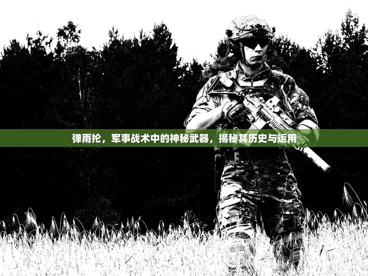 弹雨抡，军事战术中的神秘武器，揭秘其历史与运用