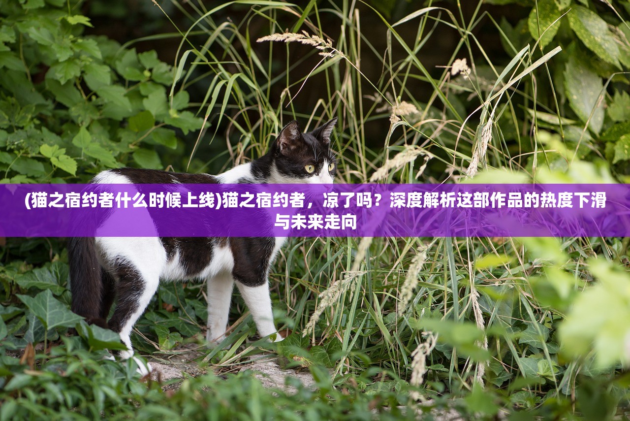 (猫之宿约者什么时候上线)猫之宿约者，凉了吗？深度解析这部作品的热度下滑与未来走向