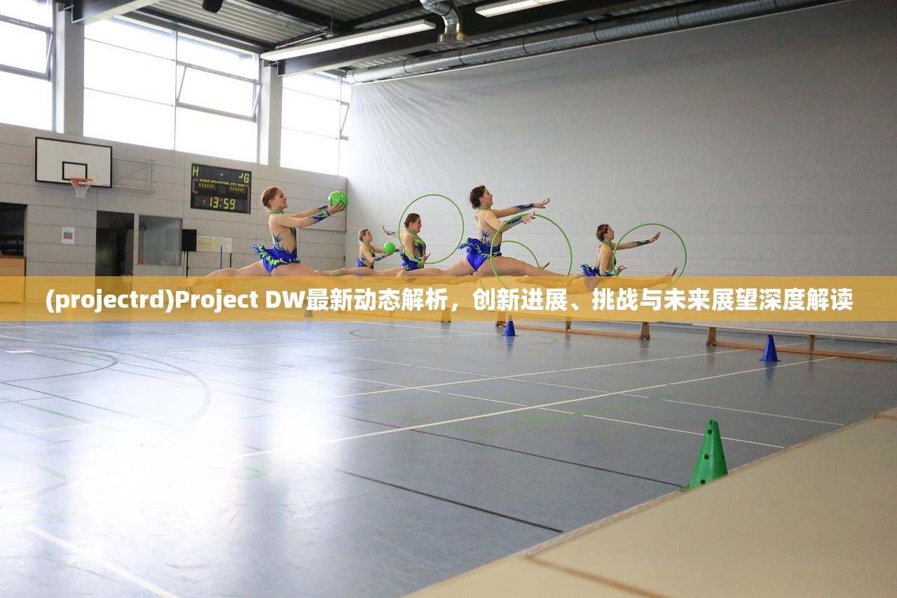 (projectrd)Project DW最新动态解析，创新进展、挑战与未来展望深度解读