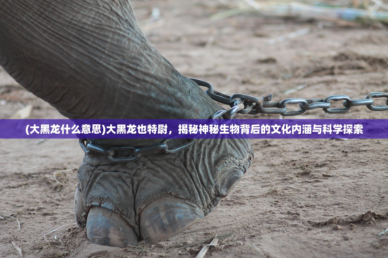 (宝石灵龙激活码怎么用)宝石灵龙激活码大揭秘，激活码获取攻略及常见问题解答