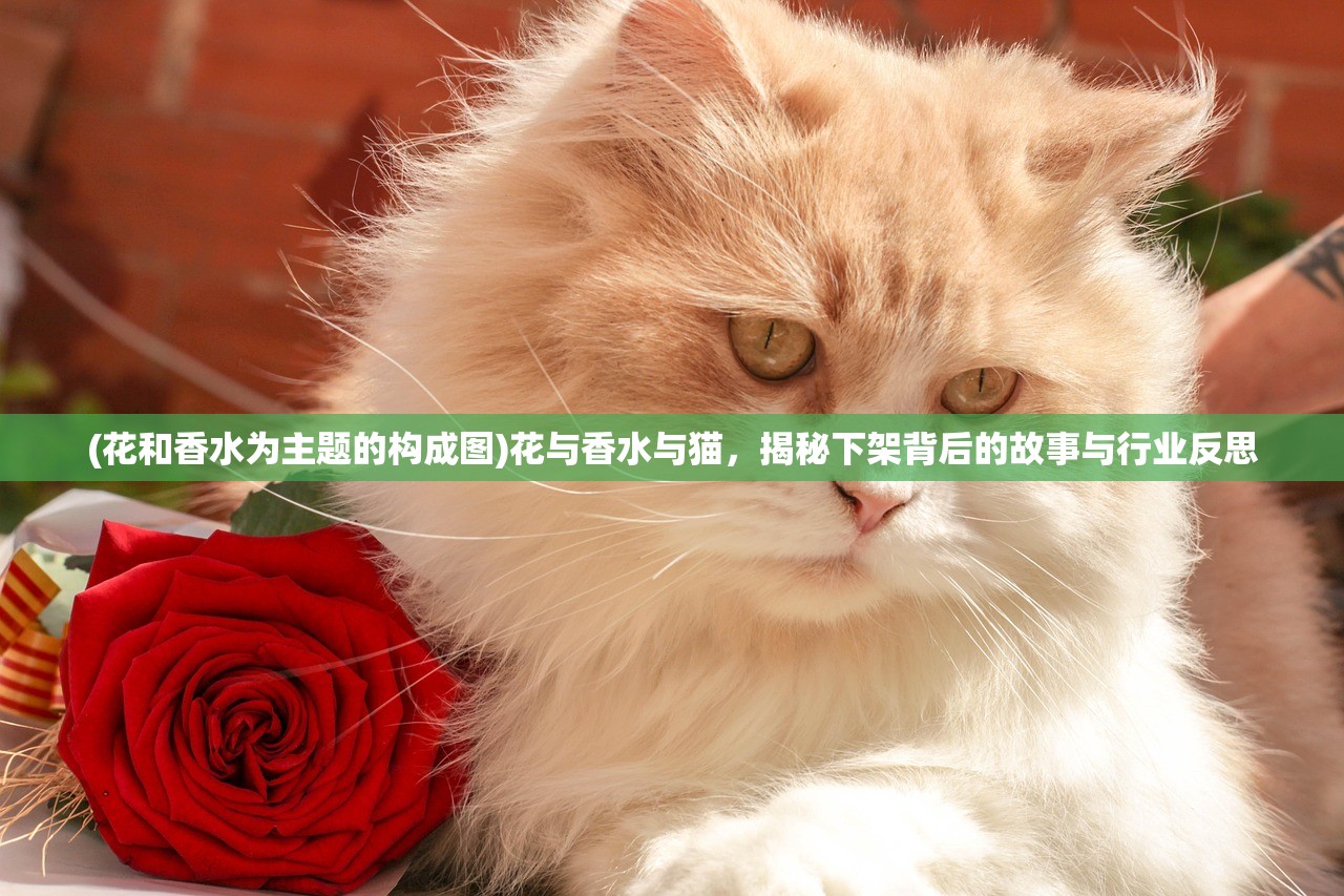 (花和香水为主题的构成图)花与香水与猫，揭秘下架背后的故事与行业反思