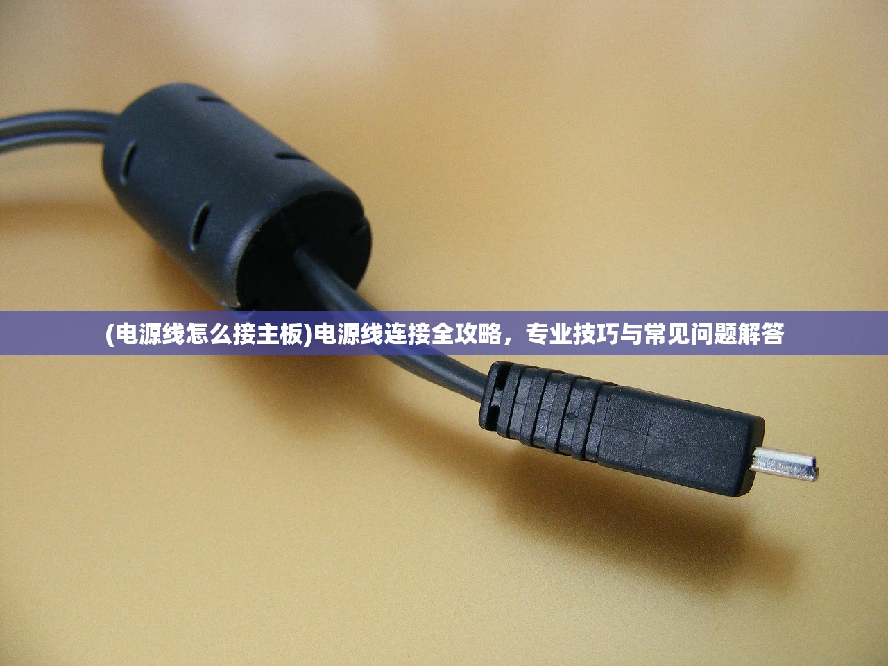 (花町物语网盘下载)花町物语网盘，揭秘日本校园恋爱轻小说的魅力与争议