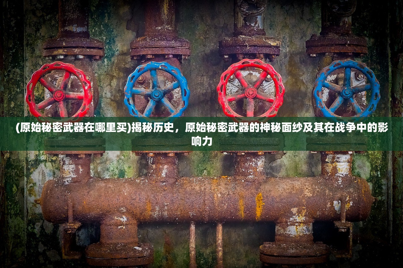 (原始秘密武器在哪里买)揭秘历史，原始秘密武器的神秘面纱及其在战争中的影响力